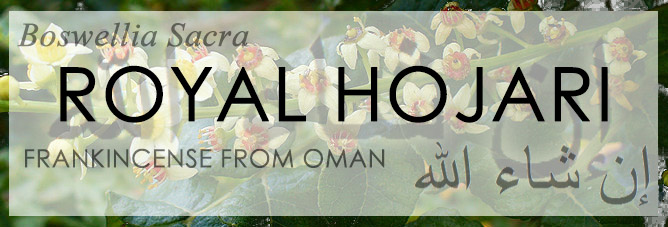 Royal Hojari - Baswellia Sacra - Frankincense from Dhofar Oman